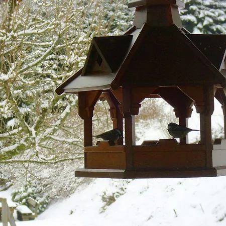 Peaceful In With Terrace Daire *